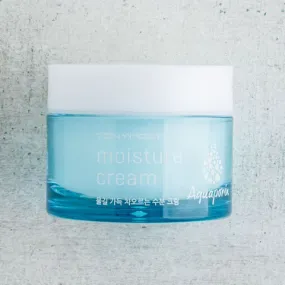 TONYMOLY Aquaporin Moisture Cream